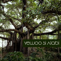 Yewoo Si Alabi