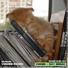 Wispy w/ Willow 25/02/25 - [Voices Radio]