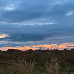 radio l<3ve (prod. nel1k)