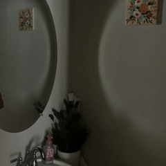 The Long Mirror