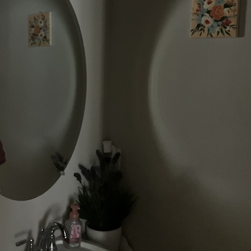 The Long Mirror