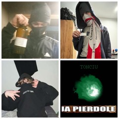 DDB - P. A. N. R.