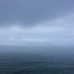 ruminations [2020]