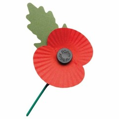 Poppies - a song for Remembrance