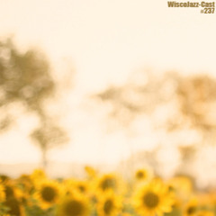 WiscoJazz-Cast: Episode 237 [DOWNTEMPO]