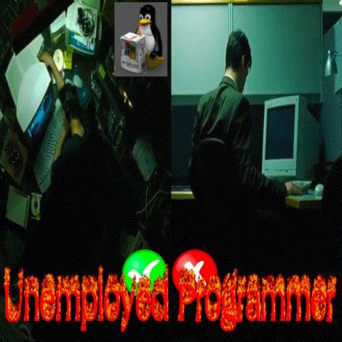 unemployed programmer