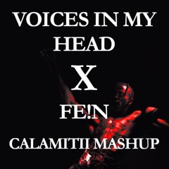 Voices In My Head x FE!N (CALAMITII Mashup)