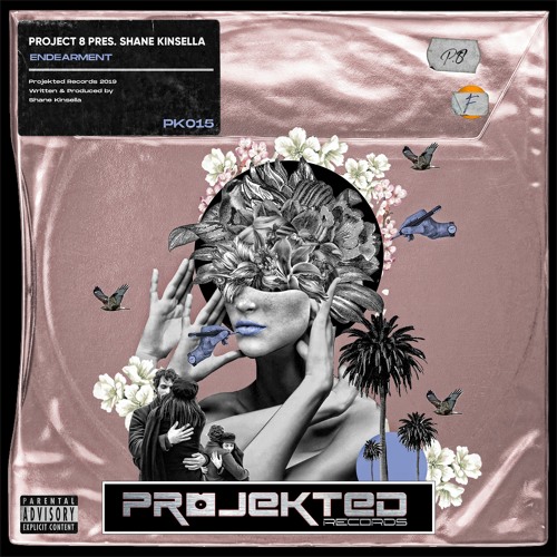 Project 8 Pres Shane Kinsella - Endearment Projekted Records PK015  OUT NOW