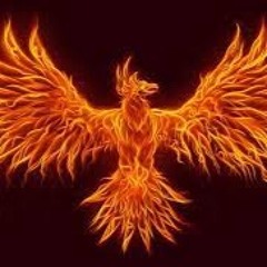 Phoenix Rises From The Ashes (re-risen version)