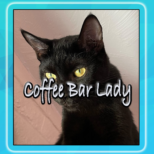 Coffee Bar Lady