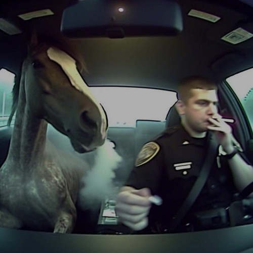 Foster The People - Are You What You Want to Be (Slowed)