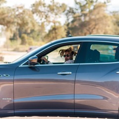 TIMCDmoney - Out The Way