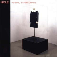 Hole - Twenty Years In The Dakota