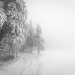 Blizzard - White Darkness