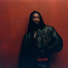 IN THE CHAIR (PND PGT MIX)