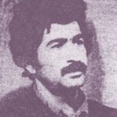 خون ارغوان ها