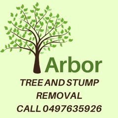 Arbor Tree and Stump Removal's Specialized Solutions