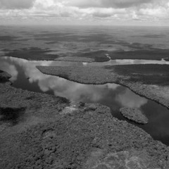 ORINOCO FLOW w/ Flying Horstman