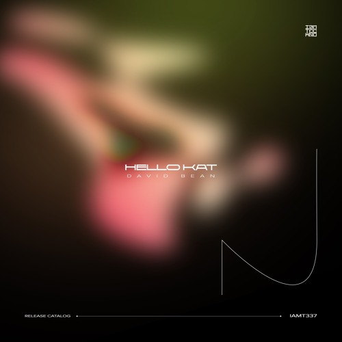 IAMT337: David Bean - Hello Kat