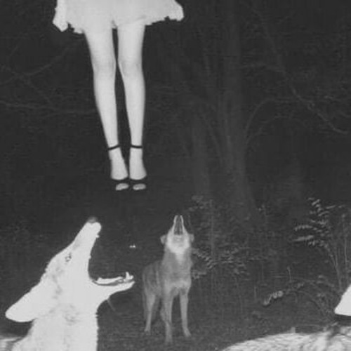 The Hypnotist