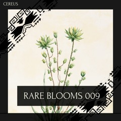 Cereus - Rare Blooms 009