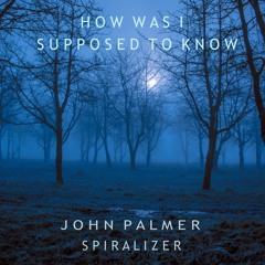John Palmer & Spiralizer - How Was I Supposed To Know