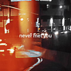 NEVER MET YOU