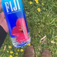 eternal succa (Deco Park)