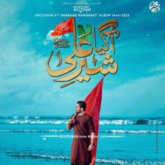 Agaya Sher e Ali | Mir Hasan Mir | New Manqabat Mola Abbas | Ana Matmi