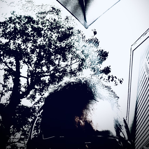 Nitroduction            (c2022)