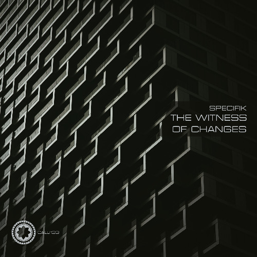 Specifik - The Witness Of Changes (Encrypted Music Source Remix)