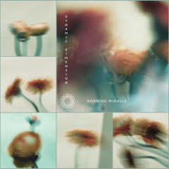 528 Hz Morning Miracle