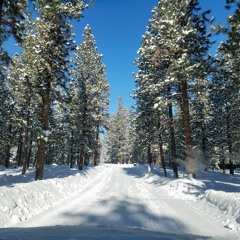 Are You Ready For Christmas