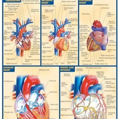 Free read✔ Heart (Quick Study Academic)