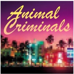Ben Nix-Bradley - Animal Criminals