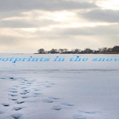 Across The Tundra