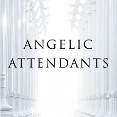 READ [PDF] Angelic Attendants: What Really Happens As We Transition Fr