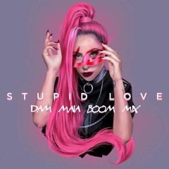 Lady Gaga - Stupid Love (Dam Maia Boom Mix)FREE DOWNLOAD