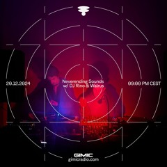 Neverending Sounds w/ Dj Rino & Walrus @ GIMIC - 20 December 2024 WALRUS
