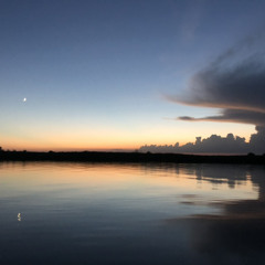 Adam Schendler  -  Minimal Cloud   <Minimal/Deep Tech>   2022