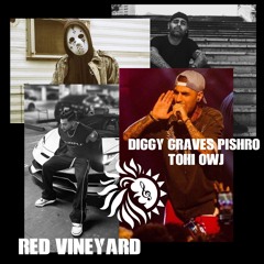 Diggy Graves Pishro Tohi Owj Red vineyard