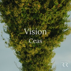 Vision