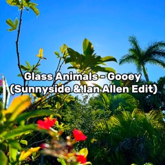 Glass Animals - Gooey (Sunnyside & Ian Allen Edit)