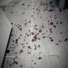 Tears Made of Blood (WIP/preview)