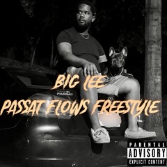 Passat Flows Freestyle
