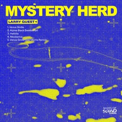 PREMIERE: Larry Quest - Venus Girdle [Shades Of Sound Recordings]