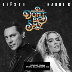 Tiësto & KAROL G - Dont Be Shy (Ricardo Reyna Tribal Mix) DOWNLOAD FREE