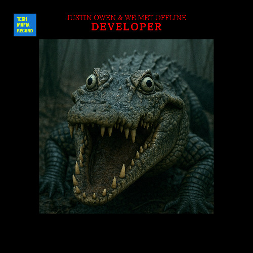Justin Owen, We Met Offline - Developer (Original Mix)
