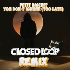 Petit Biscuit - You Dont Ignore (Closed Loop Remix)**FREE DOWNLOAD**