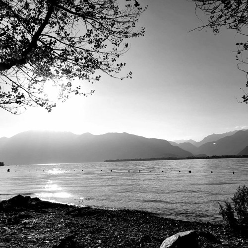 From Tomorrow Beach
